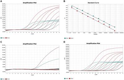 Investigation of porcine circovirus type 2 and porcine circovirus type 3 infections based on dual TaqMan fluorescent quantitative PCR method and genetic evolutionary analysis of these two viruses